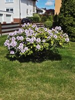 20260504_115255.jpg