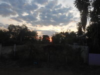 DSCN7984.JPG