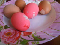 DSCN8075.JPG