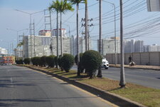 DSC08766.JPG
