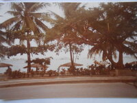 DSCN8647.JPG