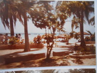 DSCN8646.JPG