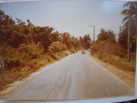DSCN8644.JPG