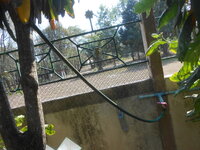 DSCN7284.JPG