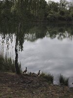 IMG_20260505_100606.jpg