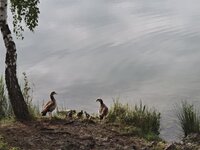 IMG_20260505_100632.jpg