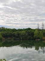 IMG_20260505_100940.jpg