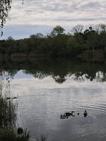 IMG_20260505_101446.jpg