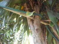 DSCN7285.JPG