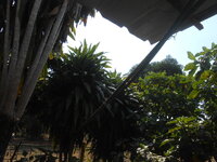 DSCN7283.JPG