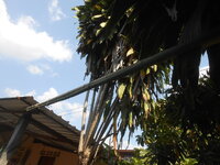 DSCN7286.JPG