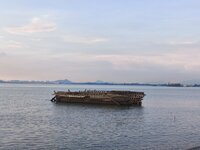IMG_20260505_173813.jpg