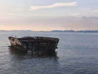 IMG_20260505_173807.jpg