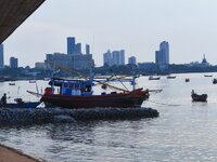 IMG_20260505_173826.jpg