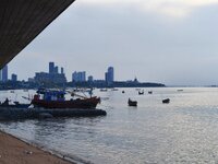 IMG_20260505_173758.jpg