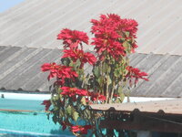 DSCN8144.JPG