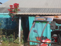 DSCN8143.JPG