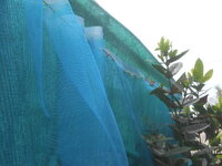 DSCN7395.JPG