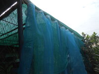 DSCN7394.JPG