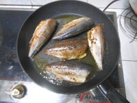 DSCN7365.JPG