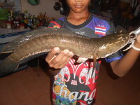 DSCN7356.JPG