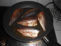 DSCN7364.JPG