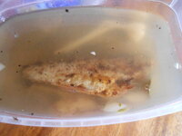 DSCN7380.JPG