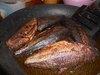 DSCN7369.JPG