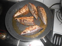DSCN7367.JPG