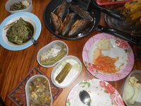 DSCN7368.JPG