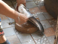 DSCN7406.JPG