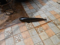 DSCN7403.JPG