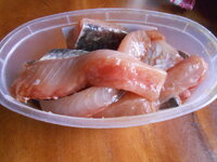 DSCN7413.JPG