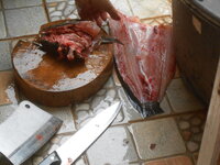 DSCN7412.JPG