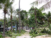 P1030273 (1).JPG