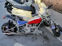 IMG_20260408_180356.jpg