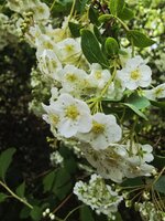 20260506_094546.jpg