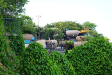DSC08807.JPG