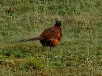 20260508_074927.jpg