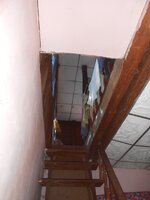 DSCN7428~2.JPG