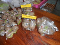 DSCN7430.JPG