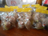 DSCN7432.JPG