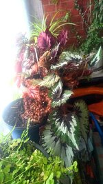 IMG_20230330_102402571~2.jpg