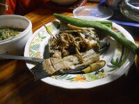 DSCN7442~2.JPG