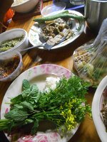 DSCN7441~4.JPG