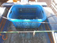 DSCN7448.JPG