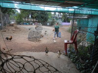 DSCN7509.JPG