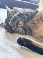 IMG_0766.jpeg