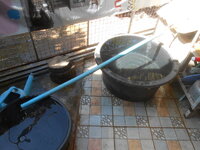 DSCN7461.JPG