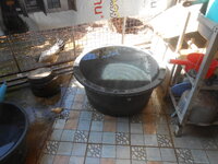 DSCN7459.JPG
